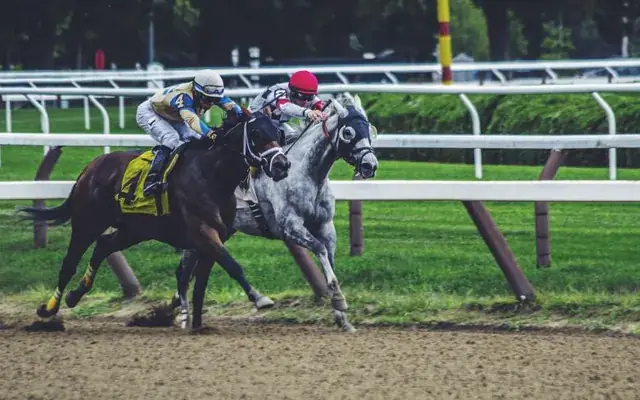 Horse racing